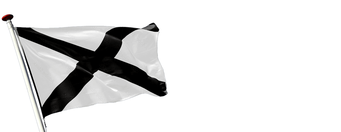 TSNL_logo_flagFULL-white