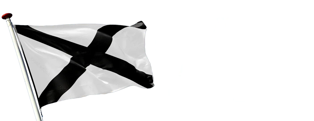 TSNL_logo_flagFULL-white