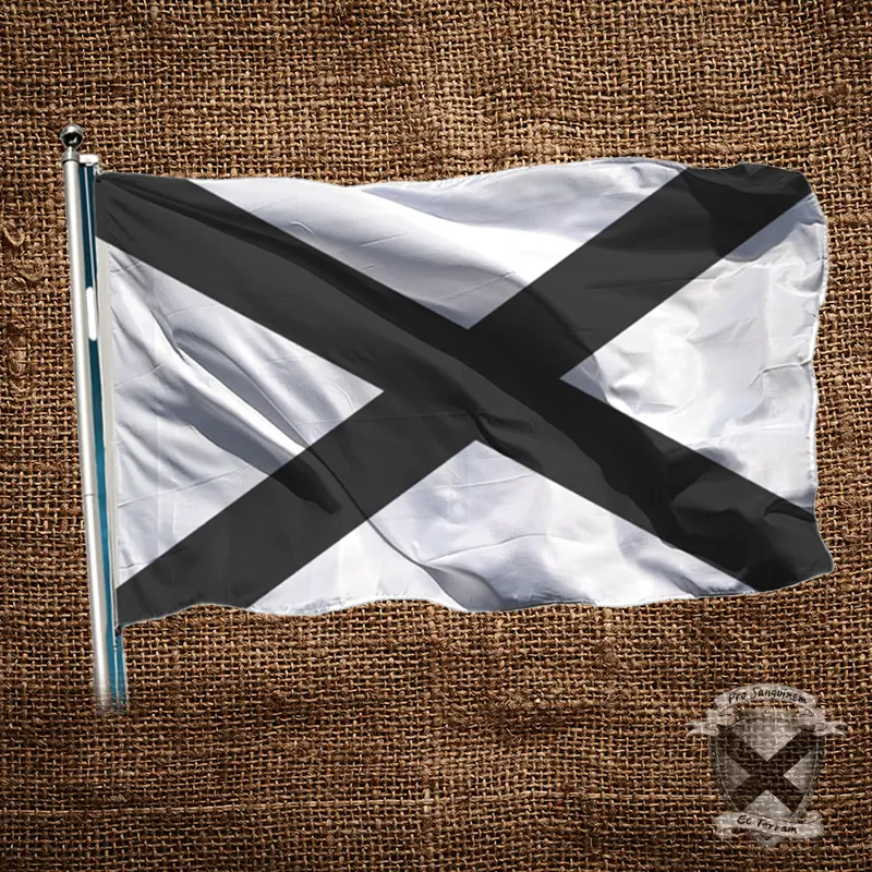 TSNL Southern Nationalist Flag featured