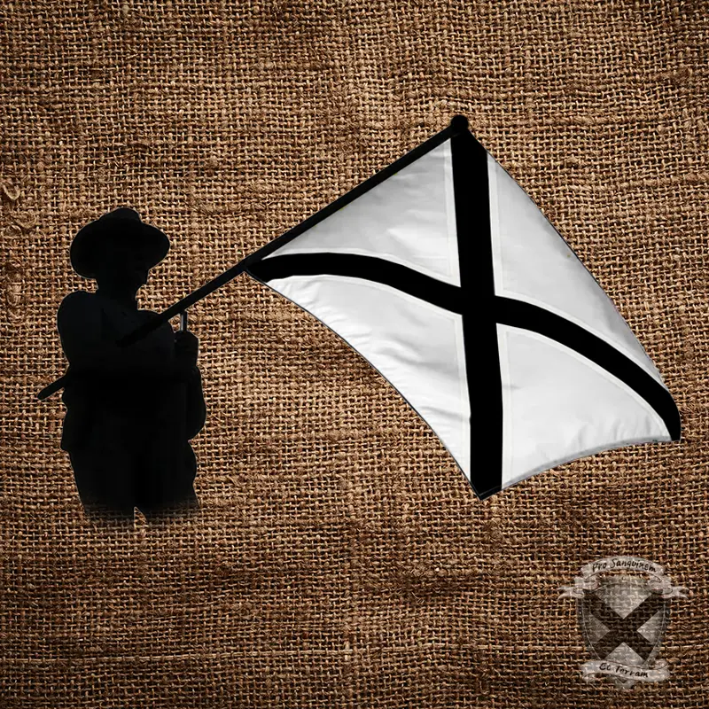 TSNL Southern Nationalist Flag figure