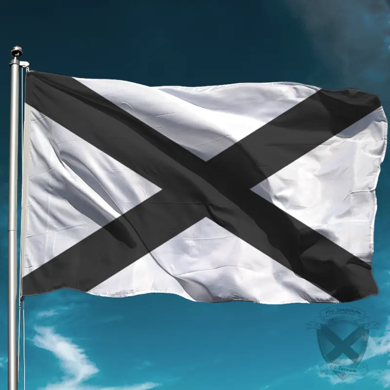 TSNL Southern Nationalist Flag flying